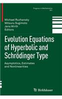 Evolution Equations of Hyperbolic and Schrödinger Type