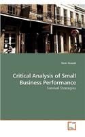 Critical Analysis of Small Business Performance