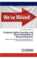 Property Rights Security and the Profitability of Microenterprises