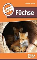 Themenheft Fuchse