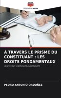 À Travers Le Prisme Du Constituant