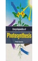  Encyclopaedia Of Photosynthesis (Set Of 2 Vols)