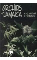 Orchids of Jamaica