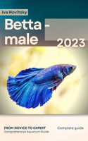 Betta - male