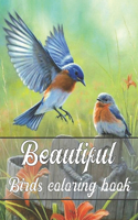 Beautiful Birds Coloring book