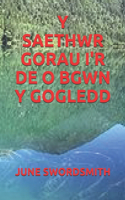 Y Saethwr Gorau I'r de O Bgwn Y Gogledd