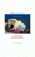 Lifestream Dreams Awakened