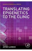 Translating Epigenetics to the Clinic