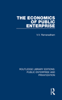 The Economics of Public Enterprise