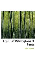 Origin and Metamorphoses of Insects