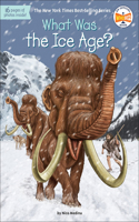 What Was the Ice Age?