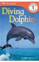 Diving Dolphin