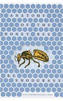 Anatomy of the Honey Bee