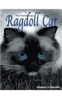 Friendly Floppy Ragdoll Cat