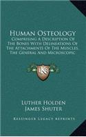 Human Osteology
