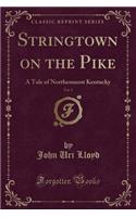 Stringtown on the Pike, Vol. 1: A Tale of Northenmost Kentucky (Classic Reprint)