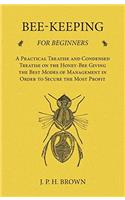 BEE-KEEPING FOR BEGINNERS: A PRACTICAL A