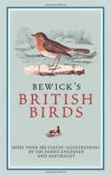 Bewick's British Birds