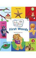Baby Einstein First Words