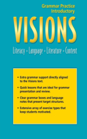 Visions Intro: Grammar Practice