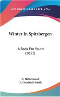Winter In Spitzbergen