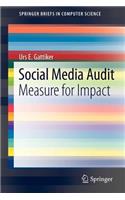 Social Media Audit