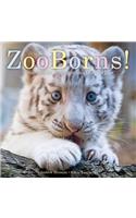 Zooborns!