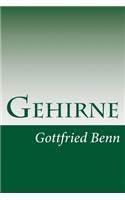 Gehirne