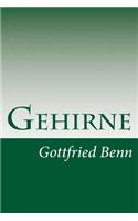 Gehirne