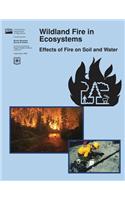 Wildland Fire in Ecosystems