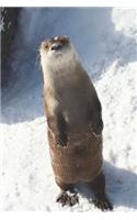Northern River Otter Journal: 150 Page Lined Notebook/Diary