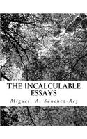Incalculable Essays