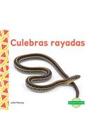 Culebras Rayadas (Garter Snakes)