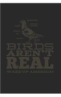 Birds Aren't Real