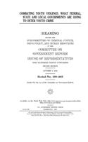 Combating youth violence: what federal, state, and local governments are doing to deter youth crime