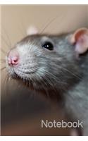 Notebook: Cute Rat Notebook; Rat Lovers Notebook; I Love Rats; 6x9inch Notebook with 108-wide lined pages