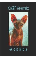 Chat Sphynx Agenda