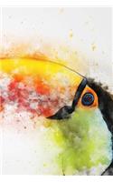 Toucan Notebook