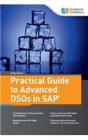 Practical Guide to Advanced DSOs in SAP