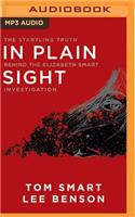 In Plain Sight