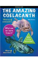 The Amazing Coelacanth