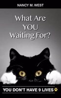 What Are You Waiting For?: You Dont Have 9 Lives!