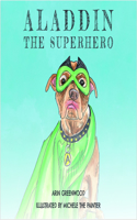 Aladdin the Superhero