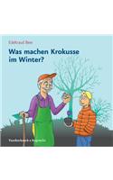 Was Machen Krokusse Im Winter?