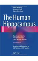 Human Hippocampus