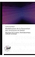 Modélisation de la Fissuration Des Structures En Béton