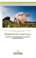 Morfologiya Zhivotnykh