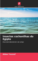 Insectos cochonilhas do Egipto