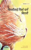 &#2348;&#2367;&#2352;&#2366;&#2350;&#2368;&#2354;&#2366;&#2312; &#2344;&#2367;&#2325;&#2379; &#2346;&#2366;&#2352;&#2381;&#2344;&#2375; &#2348;&#2367;&#2352;&#2366;&#2354;&#2368;: Nepalese Edition of The Healer Cat