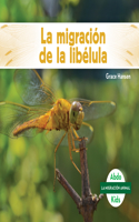 La Migración de la Libélula (Dragonfly Migration)
